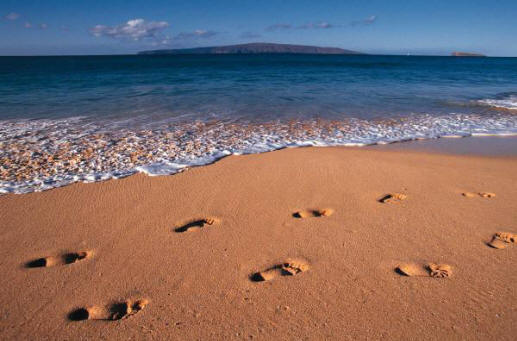 footsteps_in_the_sand