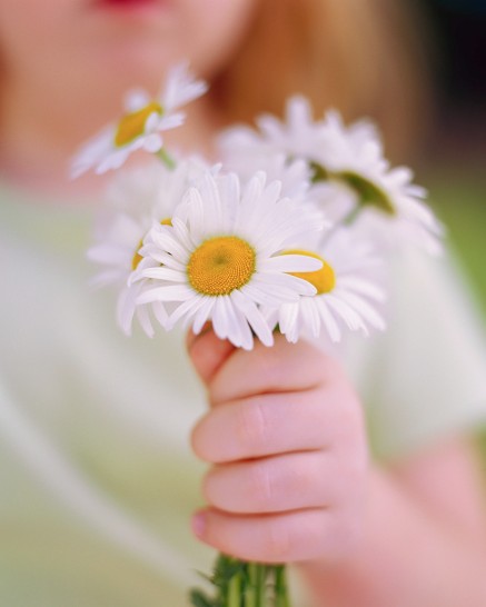 Holding Daisies